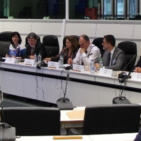 EU Islands at the Forefront of Energy Transition & Decarbonisation of Economies. European Committee of the Regions _ Brussels